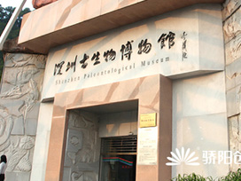 深圳仙湖古生物博物館