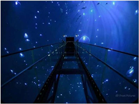 Space 360 ，隨時引爆你的眼球