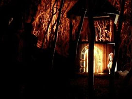 前沿分享丨來日本大阪叢林大冒險！