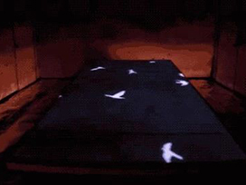 前沿分享丨神操作！把天空裝進會議室中