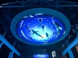 驕陽商業互動空間 | 昔日老廠房變身工業風打卡地