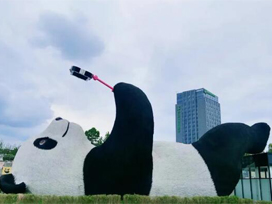 驕陽(yáng)主題館宣傳片丨熊貓愛(ài)好者的聚集地，攜手驕陽(yáng)走進(jìn)成都大熊貓博物館