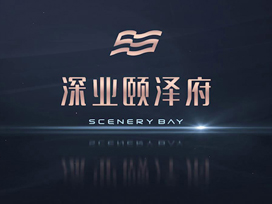 房地產(chǎn)宣傳片丨深業(yè)頤澤府，向潮而生