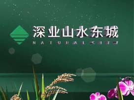 地產(chǎn)宣傳片丨深業(yè)山水東城花園，贈(zèng)城市以創(chuàng)造，城市還你以豐盛。