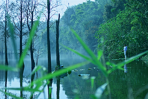 實景拍攝??碧桂園?潤楊溪谷